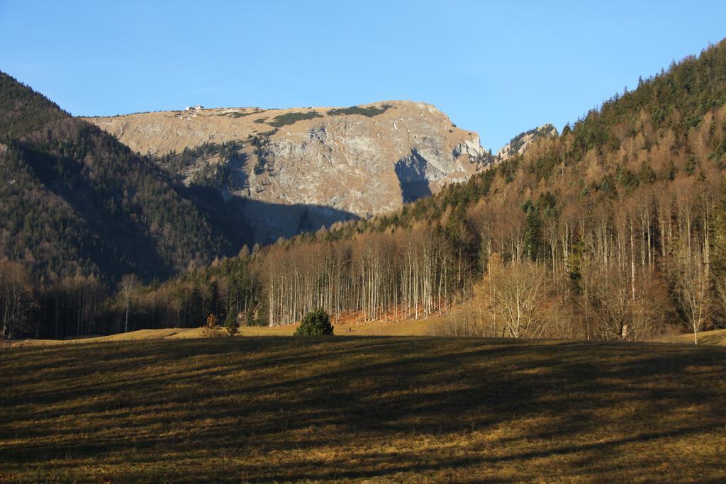Haus Seeschwalbe Saint Wolfgang Zewnętrze zdjęcie